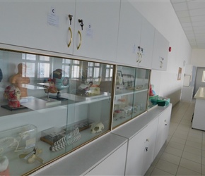 Science-Lab